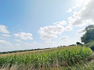 View- click for photo gallery